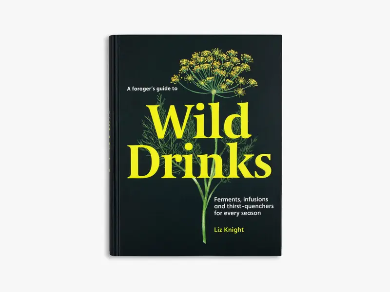 A Forager's Guide to Wild Drinks