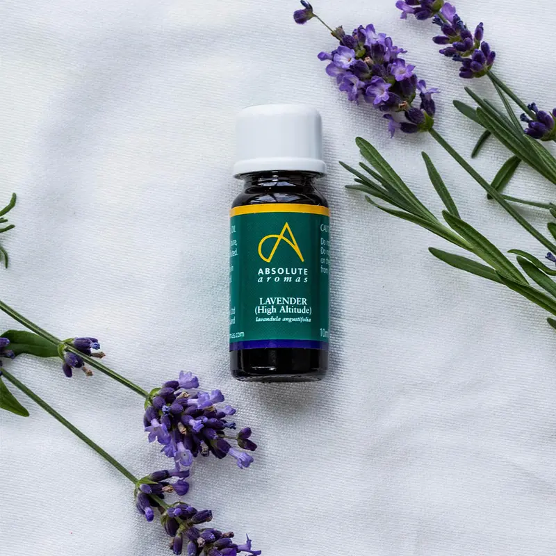Absolute Aromas Lavender High Altitude 10mL