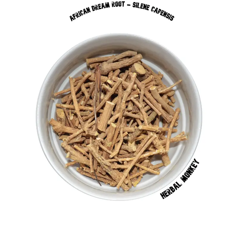 African Dream Root – Silene capensis | Whole or Crushed Roots for Ritual & Spiritual Use