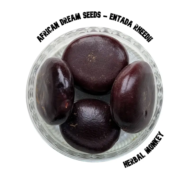 African Dream Seeds | Entada rheedii | Giant Sea Bean Vine | Seeds for Growing
