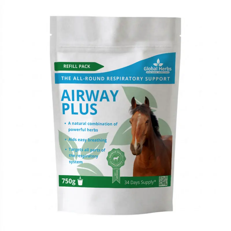 Airway Plus Powder Refill Pouch 750g - Global Herbs