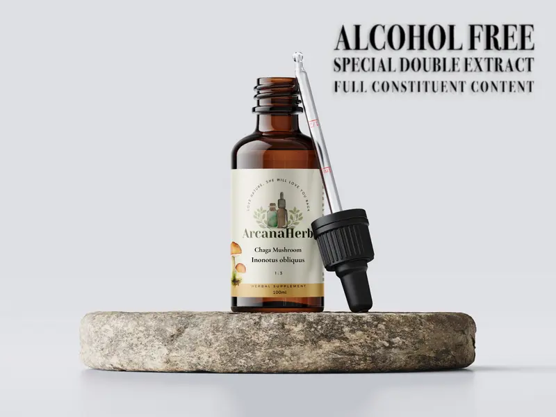 Alcohol Free Chaga Mushroom Tincture 1