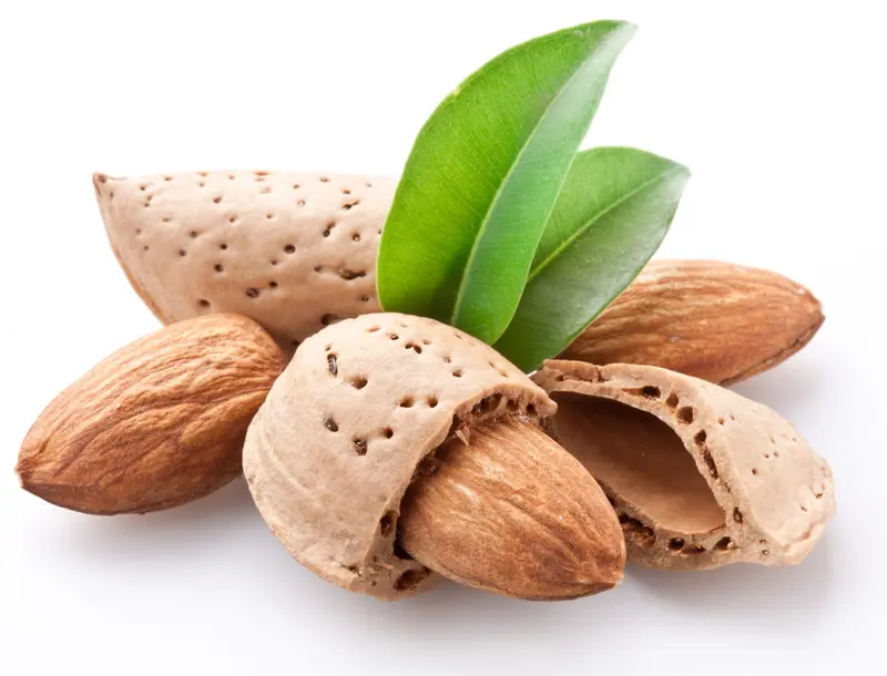 Almond Bitter
