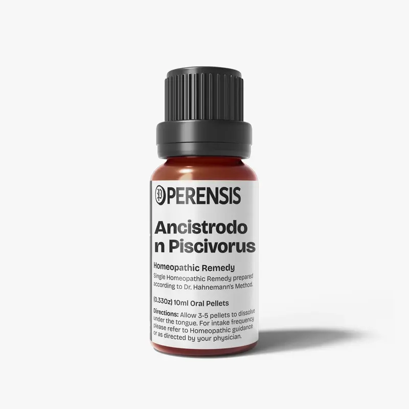 Ancistrodon Piscivorus