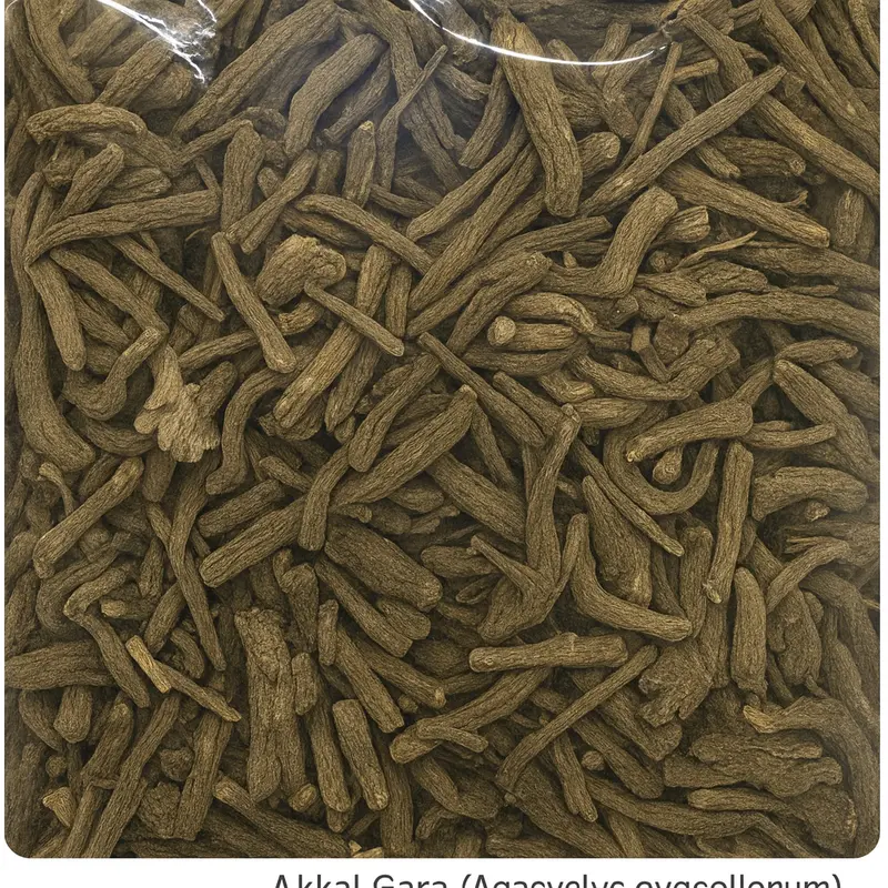 Aqar Ghara / Akkal Gara (Anacyclus pyrethrum) akkrkara Irani— premium quality root