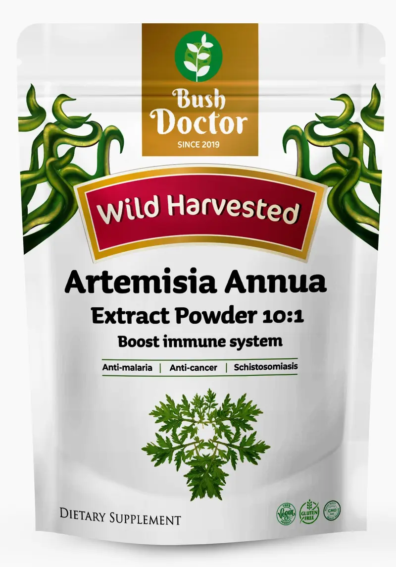 Artemisia Annua 10