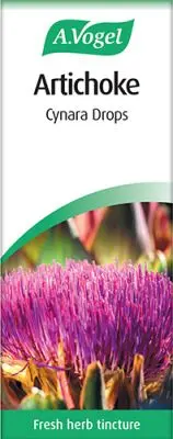 Artichoke Cynara