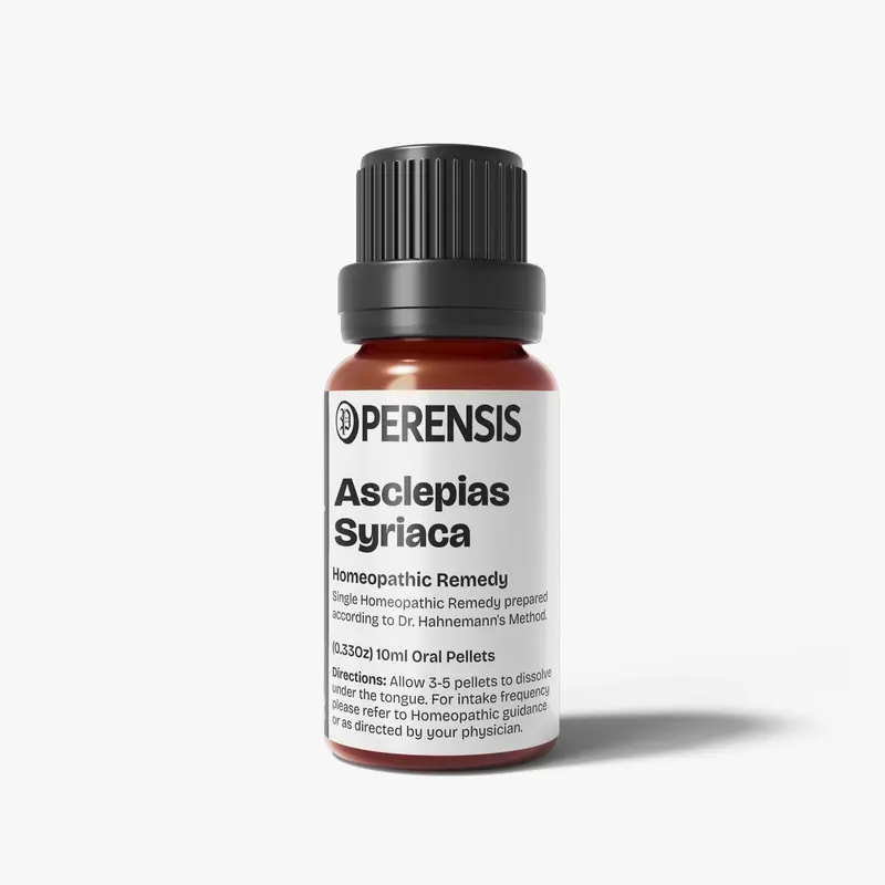 Asclepias Syriaca