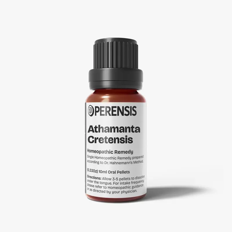 Athamanta Cretensis