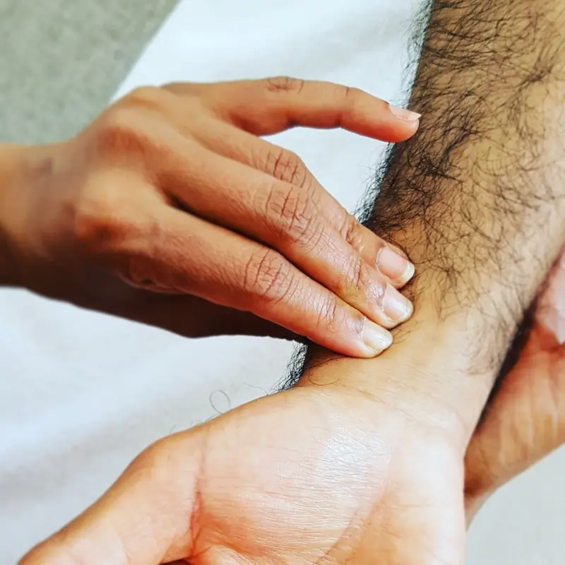 Ayurvedic Pulse Diagnosis - Basic Level 1