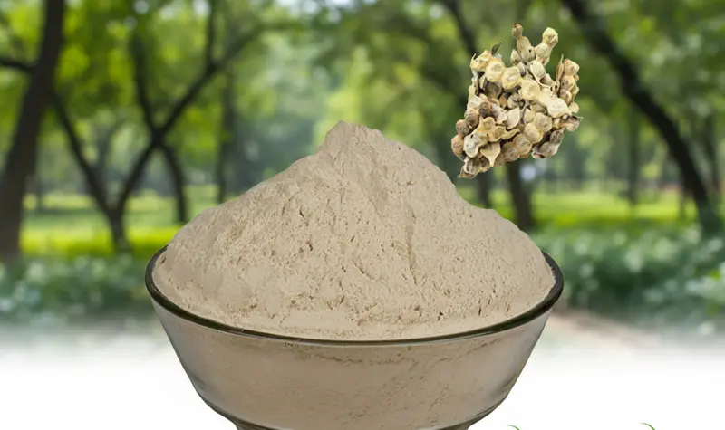 Babool Phali Powder – Organic Vachellia Nilotica (Acacia Nilotica)