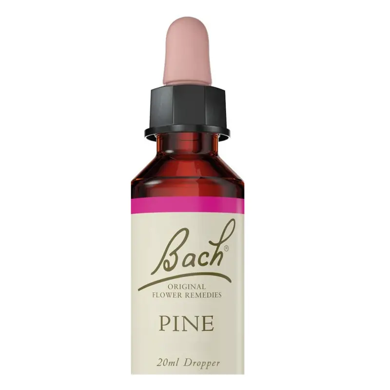 Bach Flower Remedy Pine Essence for Emotional Wellness 20ml (D)