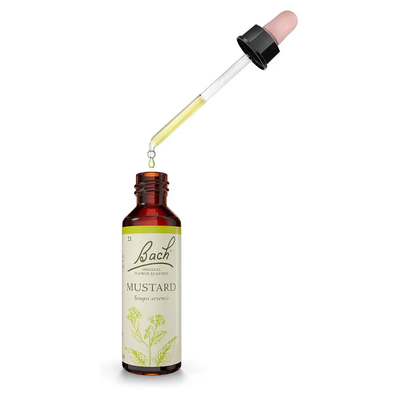 Bach Original Flower Remedies, Mustard Flower Essences 20ML (D)