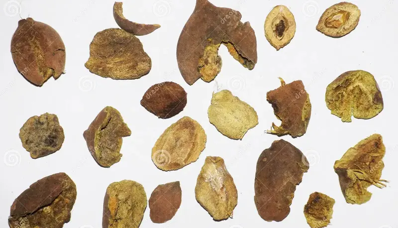 Baheda Bibhitaki 50g