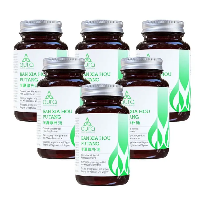 Ban Xia Hou Pu Tang (Pinellia and Magnolia Bark Decoction) - 6 x 60 tablets