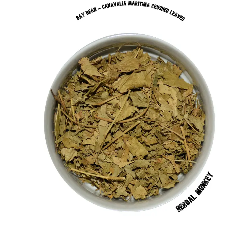 Baybean Crushed Leaves  | Canavalia Maritima