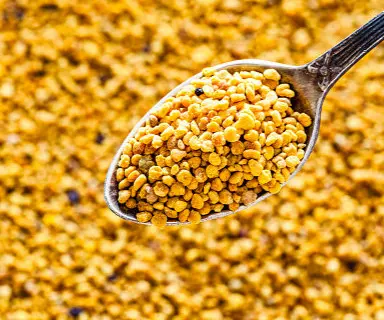 Bee Pollen 100g