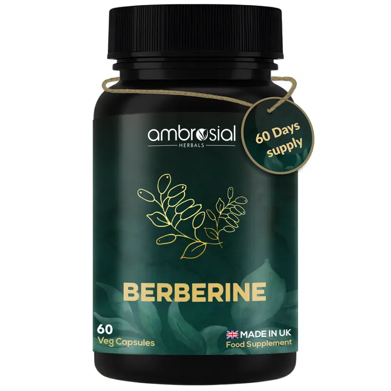 Berberine 500 mg