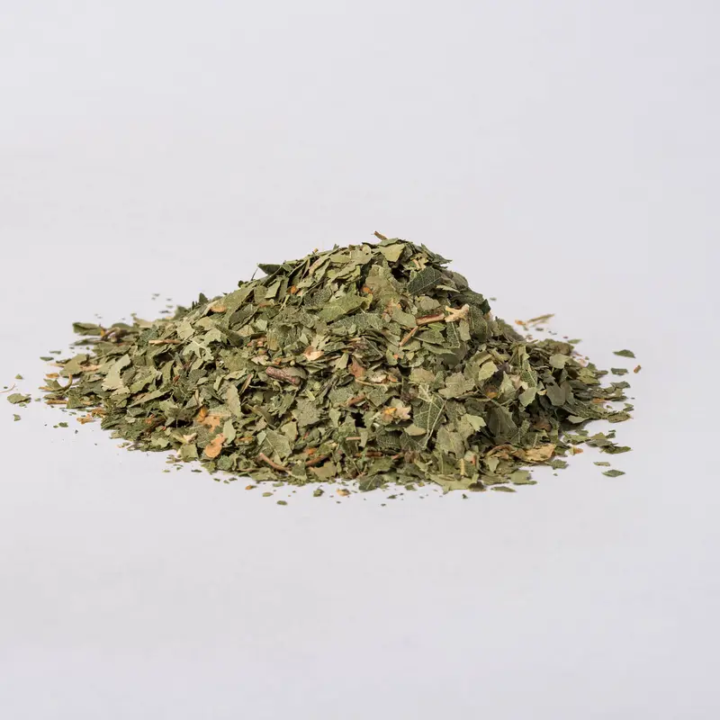 Birch Leaf (Betula alba)