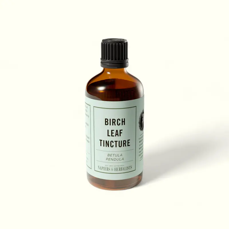 Birch Leaf Tincture (Betula pendula)