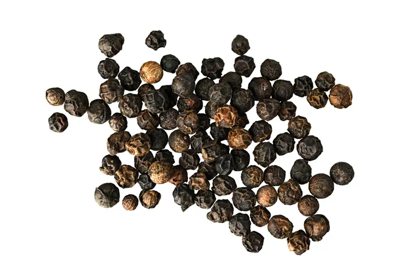 Black Pepper (Piper nigrum)