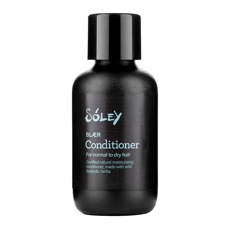 Blær Conditioner Mini