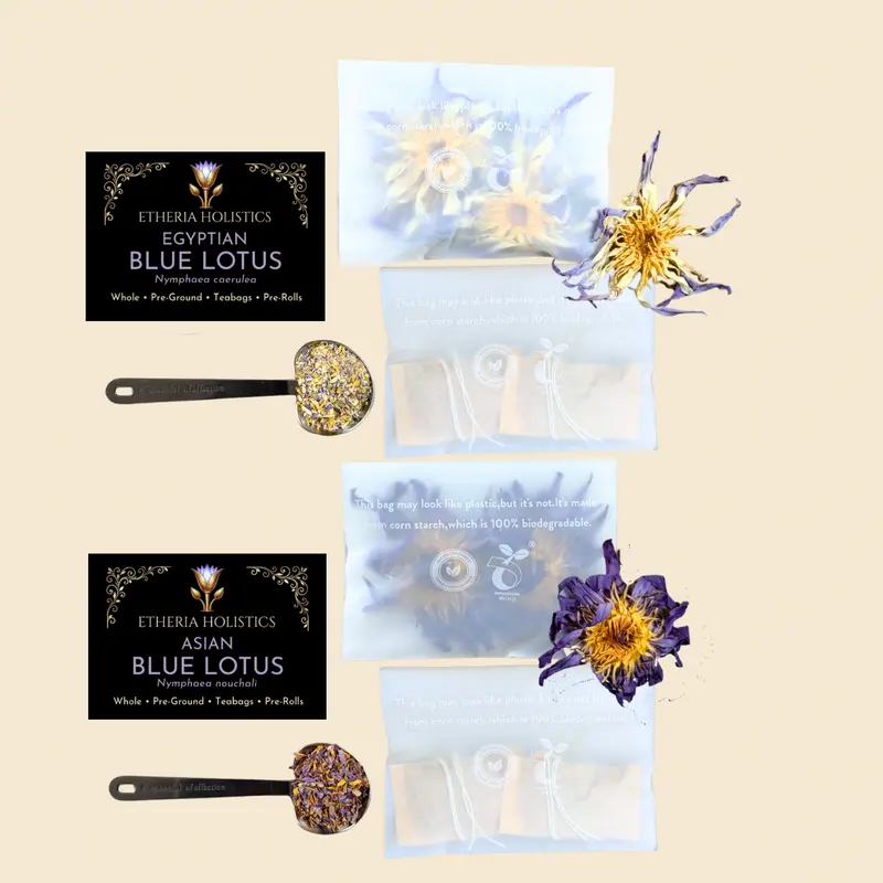 Blue Lotus Discovery Duo — Asian & True Egyptian | Sample Bundle