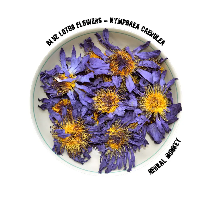 Blue Lotus Flowers (Nymphaea Caerulea) – Whole, Chopped, Petals & Powdered for Ritual Use