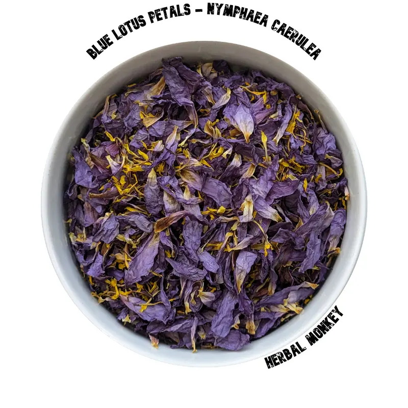 Blue Lotus Petals – Nymphaea Caerulea | Sacred Botanical for Spiritual Practice
