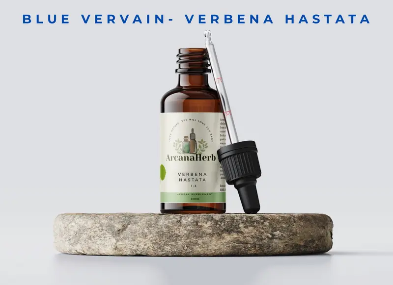 Blue Vervain tincture. Verbena hastata 1