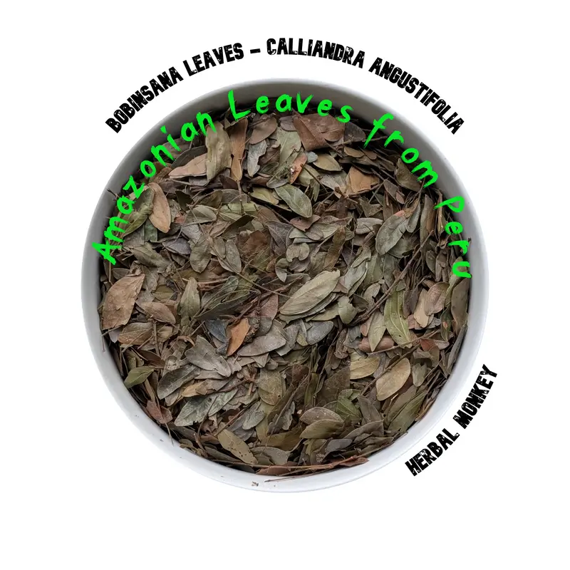 Bobinsana Cut Leaves | Calliandra angustifolia | Premium Botanical