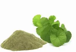 Brahmi Bacopa monnieri Powder 100g
