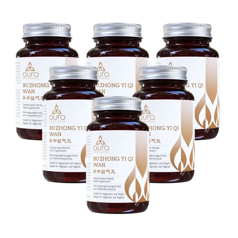 Bu Zhong Yi Qi Wan (Ginseng & Rhizome) - 6 x 60 tablets