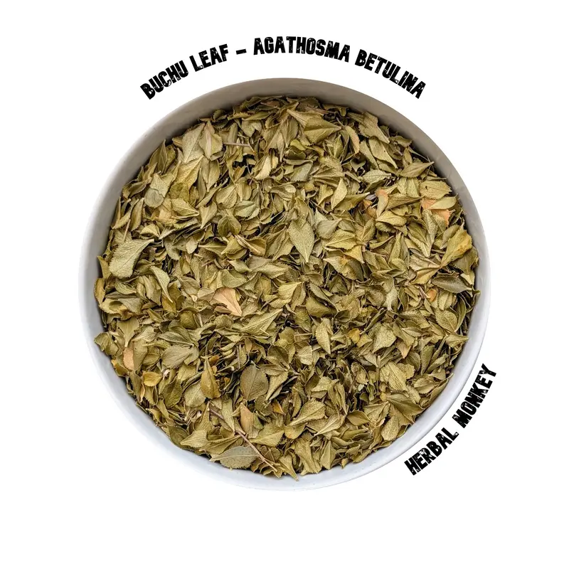 Buchu Dried Leaf | South African Botanical for Herbal Tea