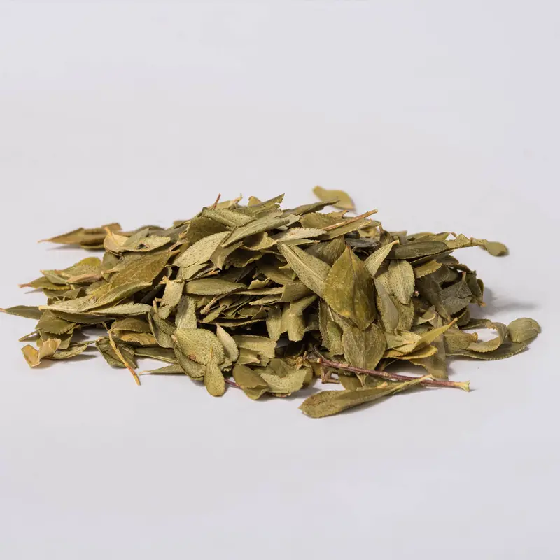 Buchu Leaf (Barosma betulina)