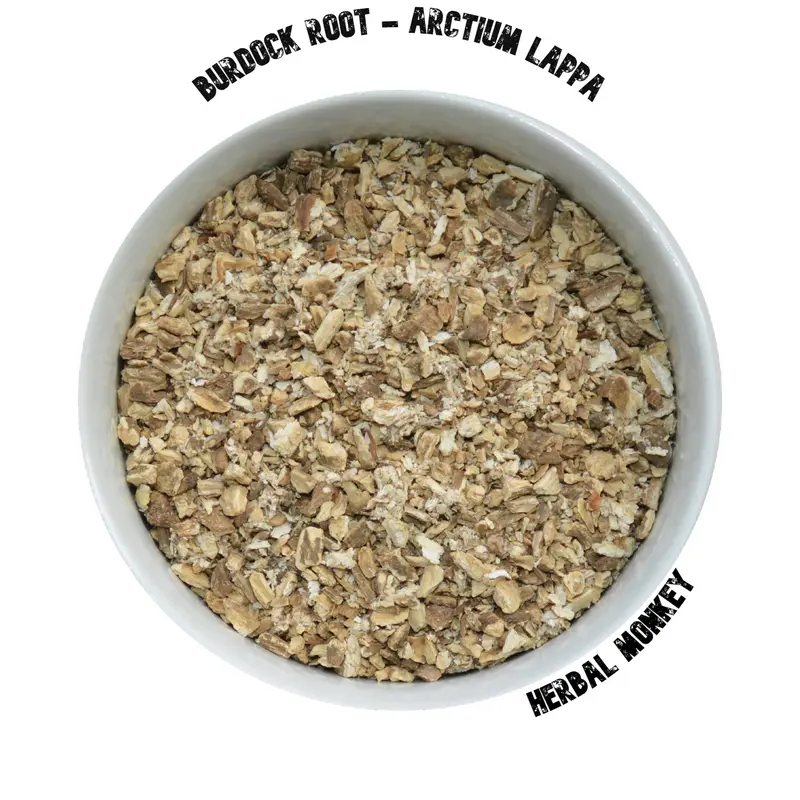 Burdock Root | Arctium Lappa | Premium Botanical
