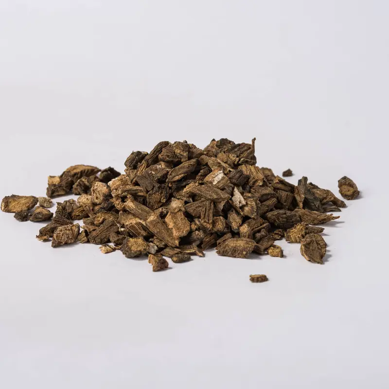 Burdock Root (Arctium lappa)