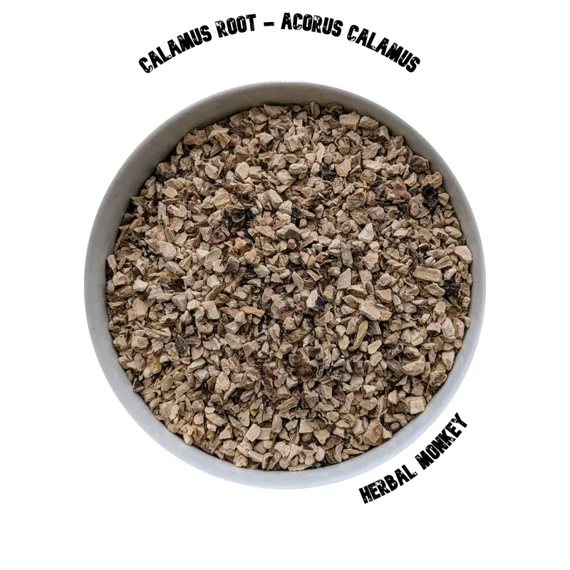 Calamus Root | Acorus Calamus | Sweet Flag | Premium Botanical