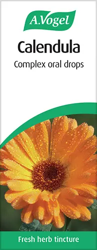 Calendula
