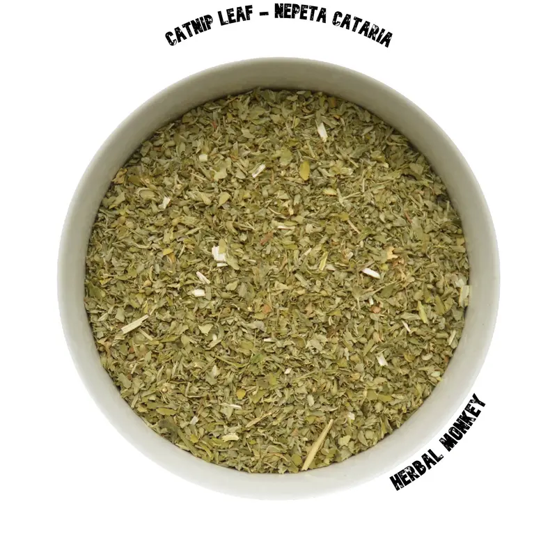 Catnip Herb | Nepeta Cataria | Premium Botanical