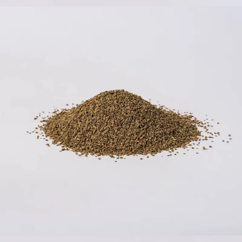 Celery Seed (Apium graveolens)
