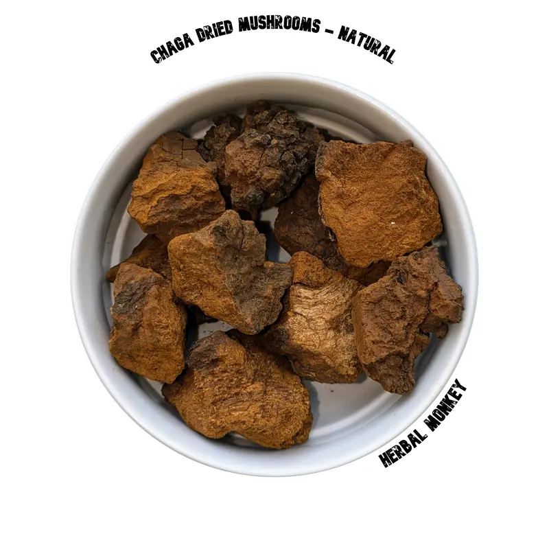 Chaga Dried Mushrooms | Premium Botanical | Whole or Powder