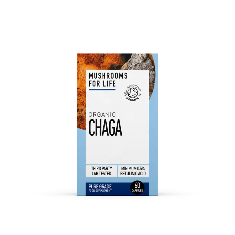 Chaga Mushroom Capsules