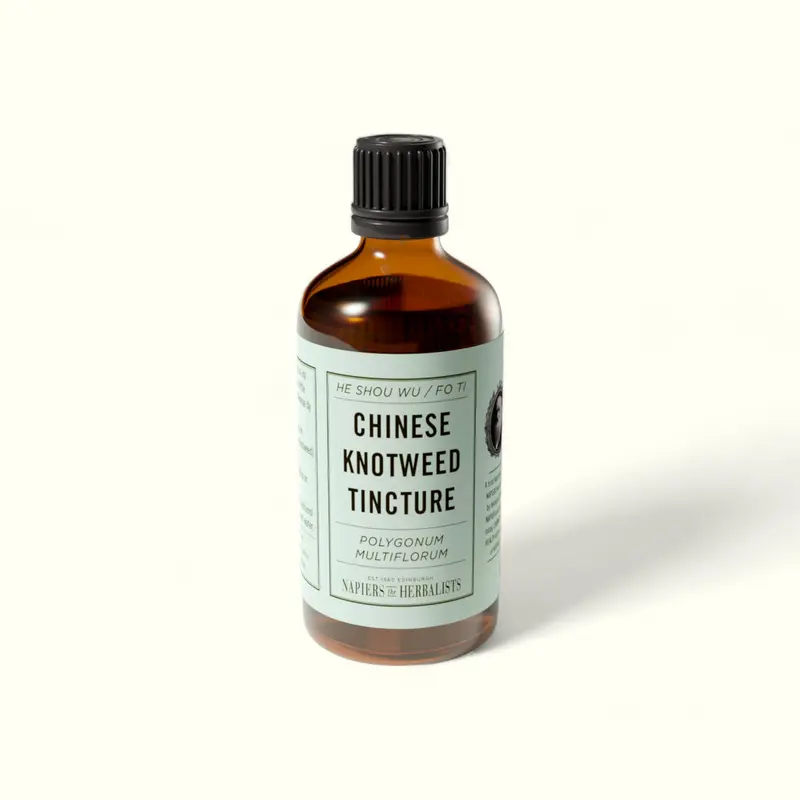 Chinese Knotweed Tincture (Polygonum multiflorum)