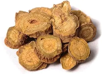 Chinese Skullcap Root (Scutellaria baicalensis)