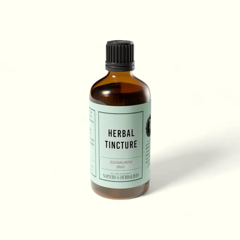 Clove Bud (Syzigium aromaticum) Tincture