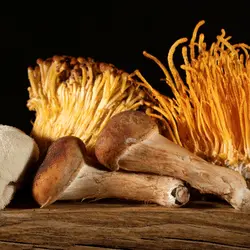 Cordyceps Capsules