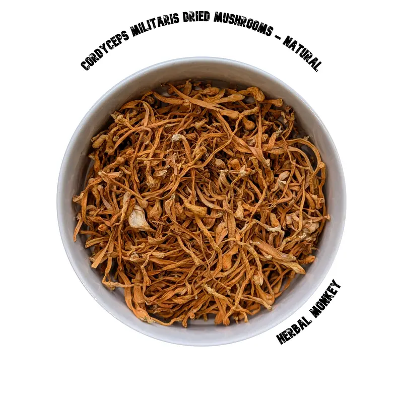 Cordyceps Militaris Dried Mushrooms  | Natural Cordycep Mushrooms | Whole or Powder