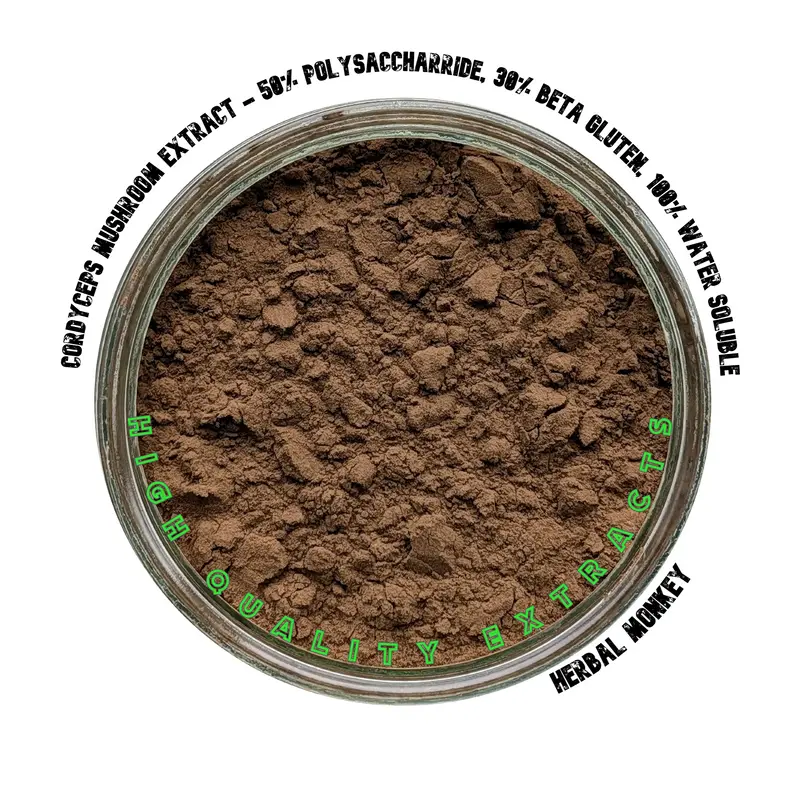 Cordyceps Mushroom 20