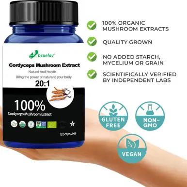 Cordyceps Mushroom Extract Powder,Cordyceps Sinensis CS-4,Dong Chong Xia Cao